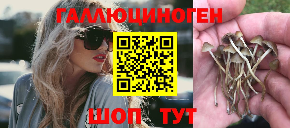 где найти   Галлюциногенные грибы Psilocybe  Киржач  Вход с VPN  Галлюциногенные грибы MAGIC MUSHROOMS 